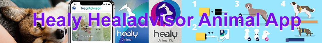 healy animal heal advisor, app, kit, healy animal module, healy dog kit, healy cat kit, healy dog module, healy cat module 
	  <meta name=